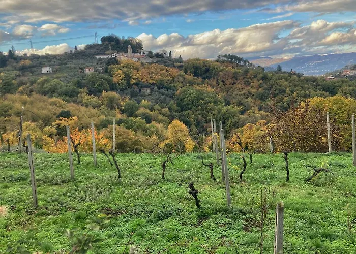 Nyaraló La Casa Rossa Con Vista *
