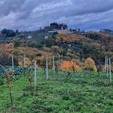 La Casa Rossa Con Vista 펜션